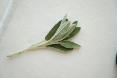 Обзор Sage: как Алексей Пенюк превратил пространство в оазис стиля